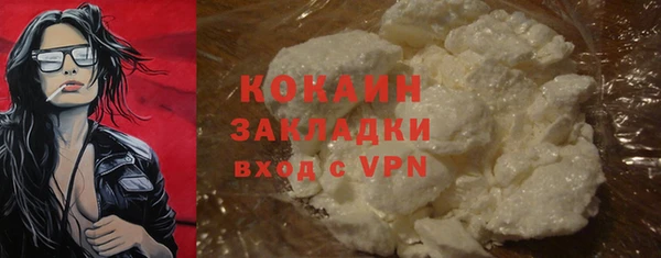 шишки Ельня