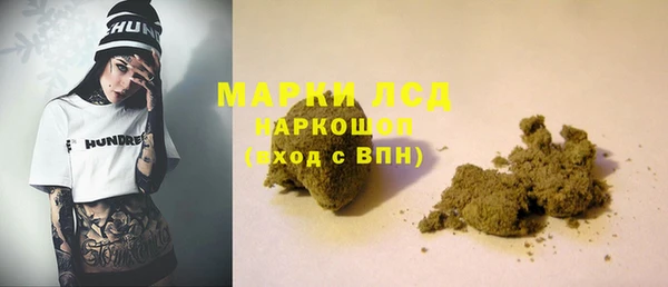 прущие грибы Елизово