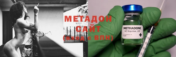 прущие грибы Елизово