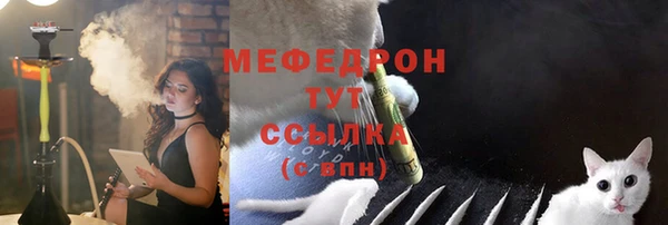 ECSTASY Дмитриев