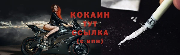 ECSTASY Дмитриев