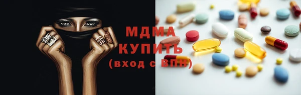 шишки Ельня