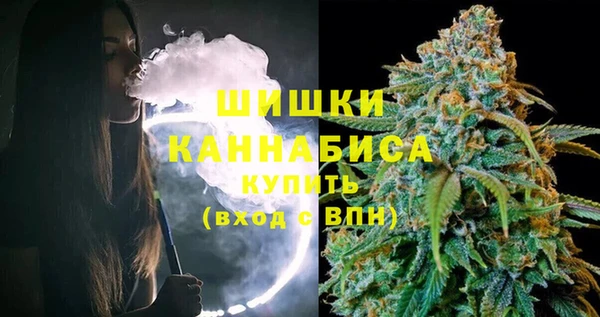 шишки Ельня