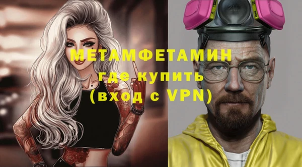 прущие грибы Елизово