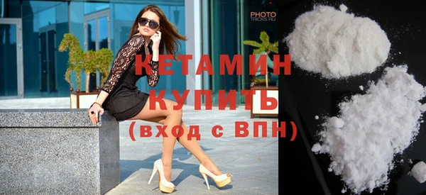 прущие грибы Елизово