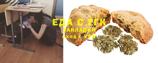 шишки Ельня