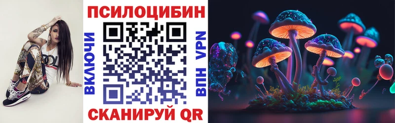 Купить  Куса  Галлюциногенные грибы Cubensis 